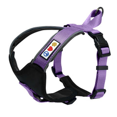 Arnés reflectante acolchado de Pawtitas para perros grandes, mejora la visibilidad en paseos.