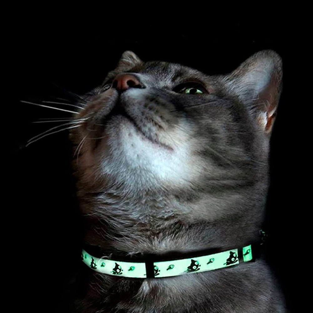 Collar Pawtitas para gatitos, ideal para exploración