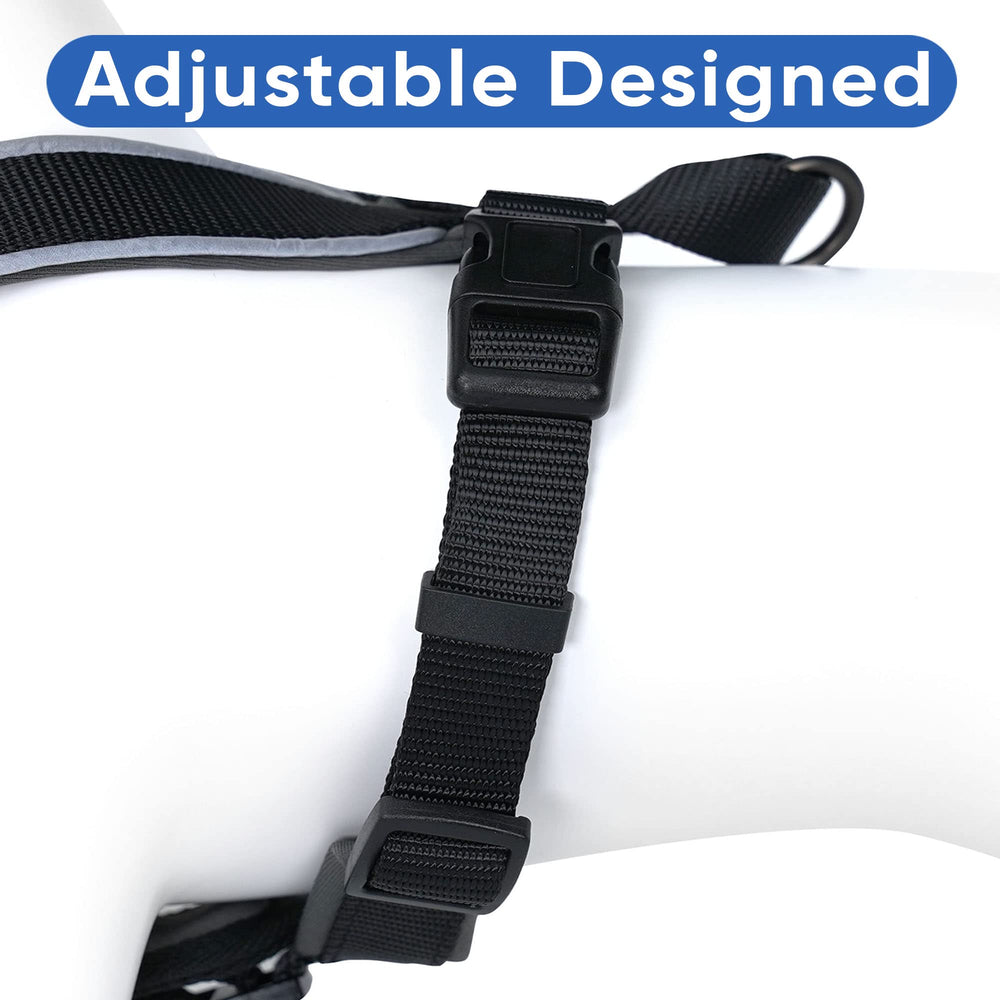 Collar a juego Pawtitas para completar el conjunto de paseo.