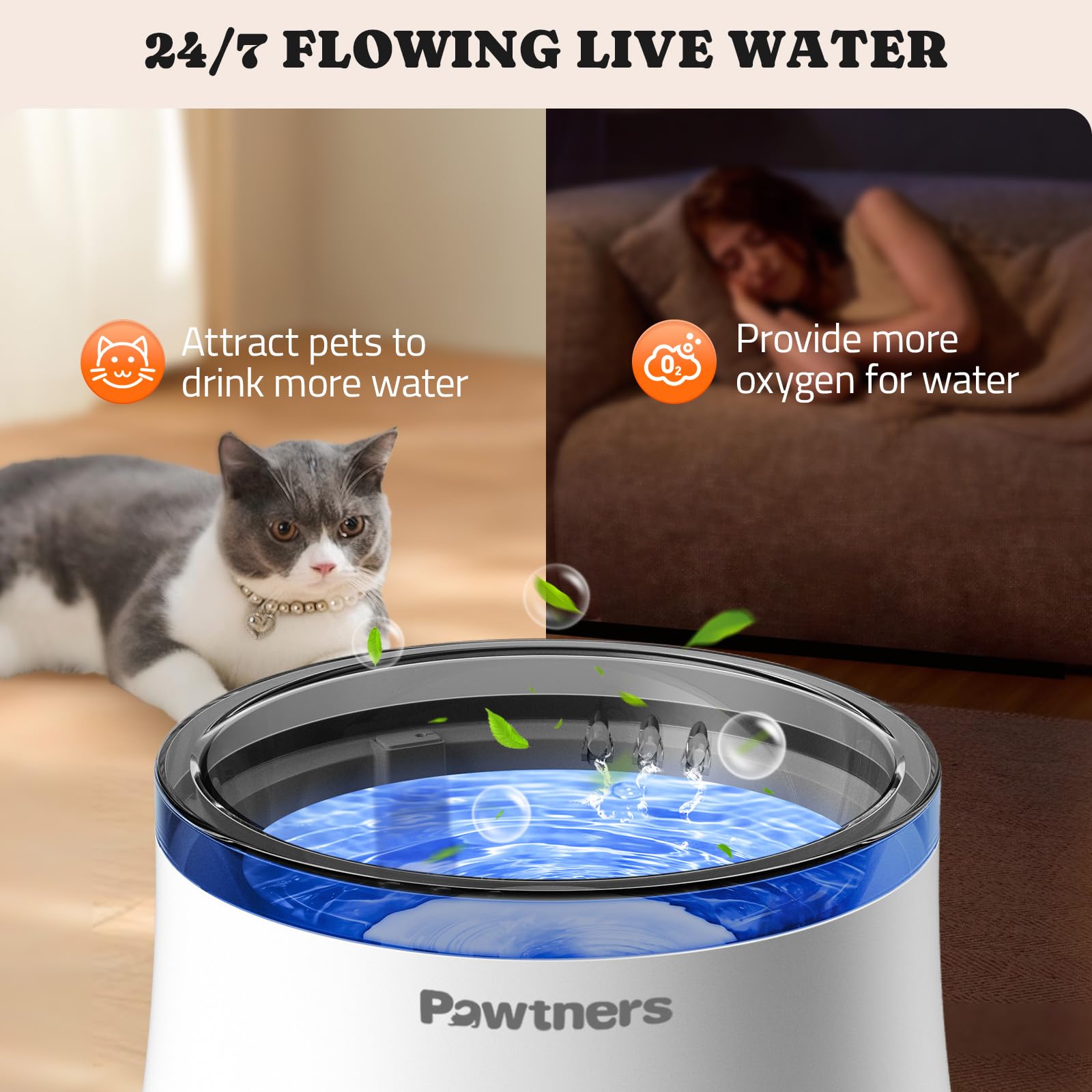 Pawtners mantenimiento sencillo, limpieza y cuidado regular.