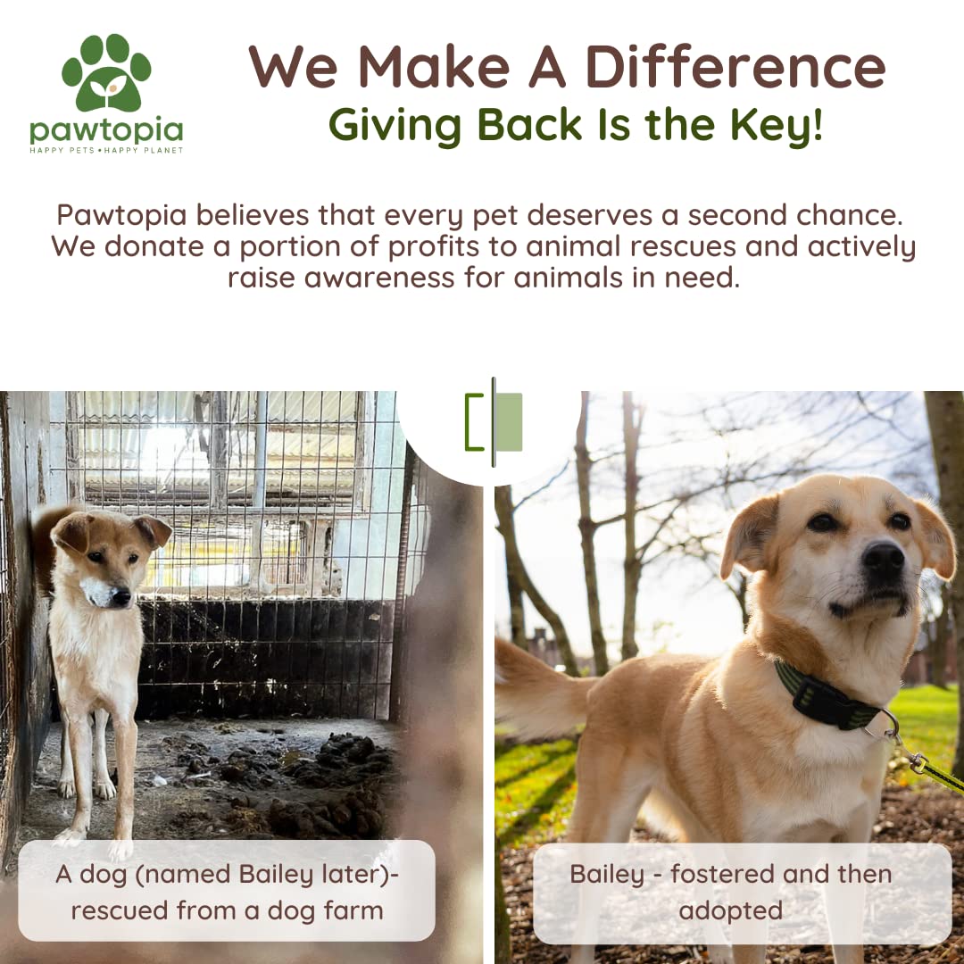 Pawtopia, ideal para viaje con mascotas y compostaje doméstico.