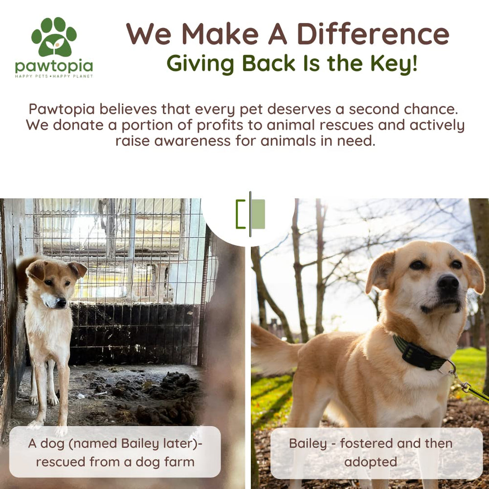 Pawtopia, ideal para viaje con mascotas y compostaje doméstico.