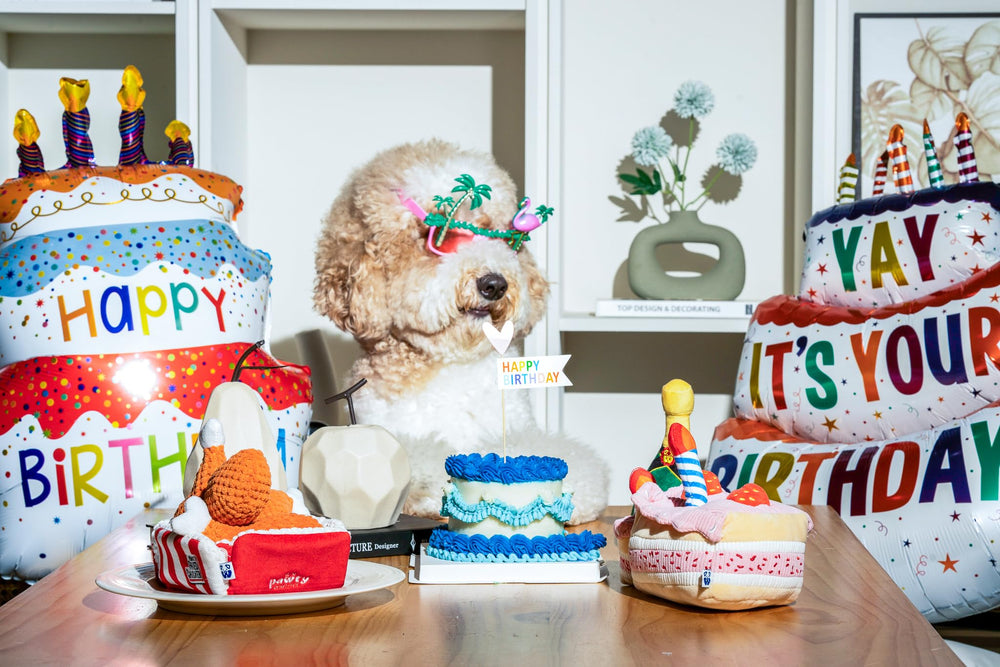 Pawty resistencia moderada en juguete para perros, duradero