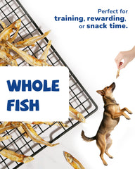 PAWUP omega-3 para piel y pelaje saludables en perros.