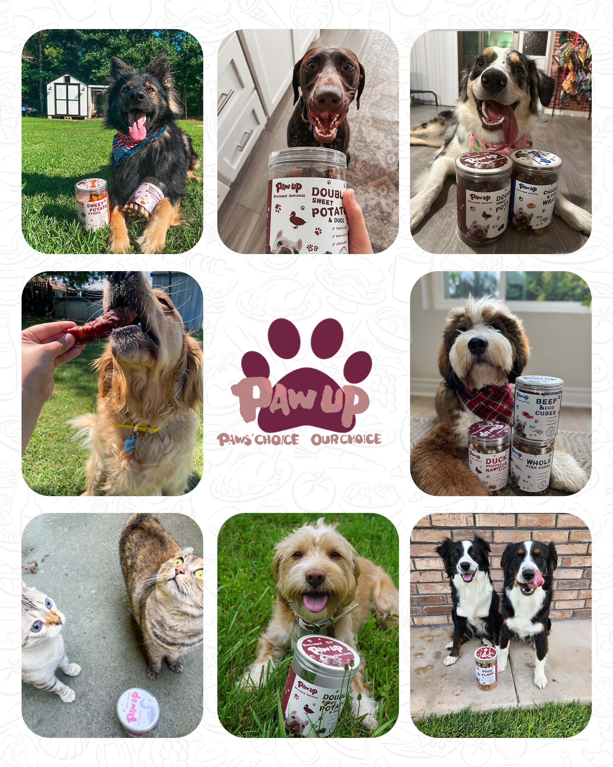 PAWUP Balanced diet dog treat – ideal daily reward
