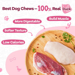 PAWUP calabaza con fibra, bocado digestivo para perros.
