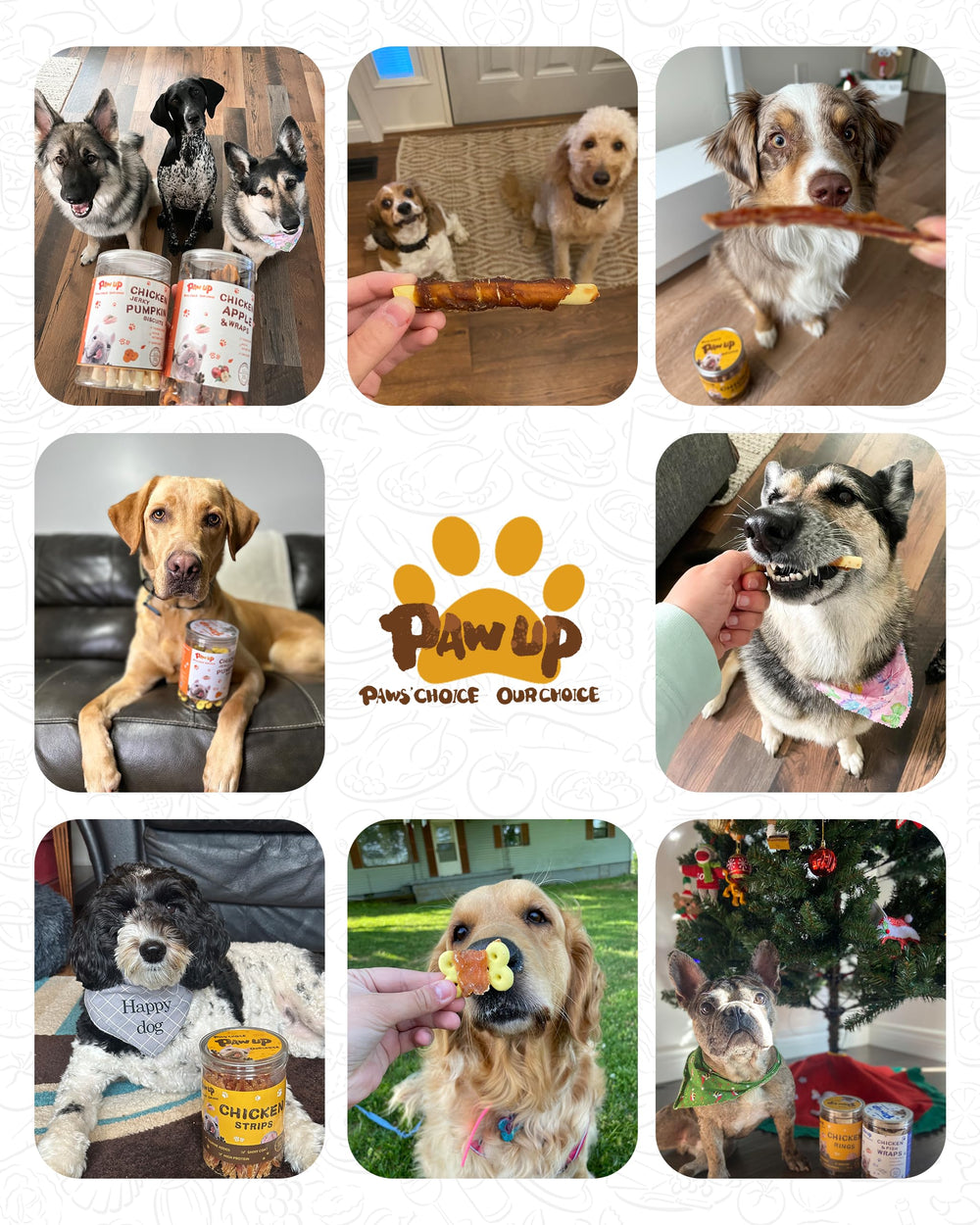 PAWUP-conteneur-fermeture-hermetique: rangement rapide et réutilisable après le snack