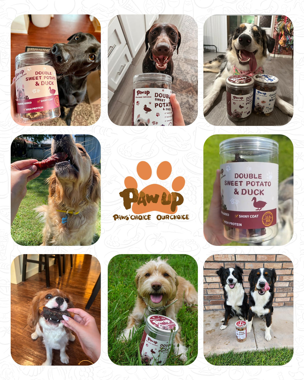 PAWUP empaque práctico y mordida estable para perros de todas las tallas