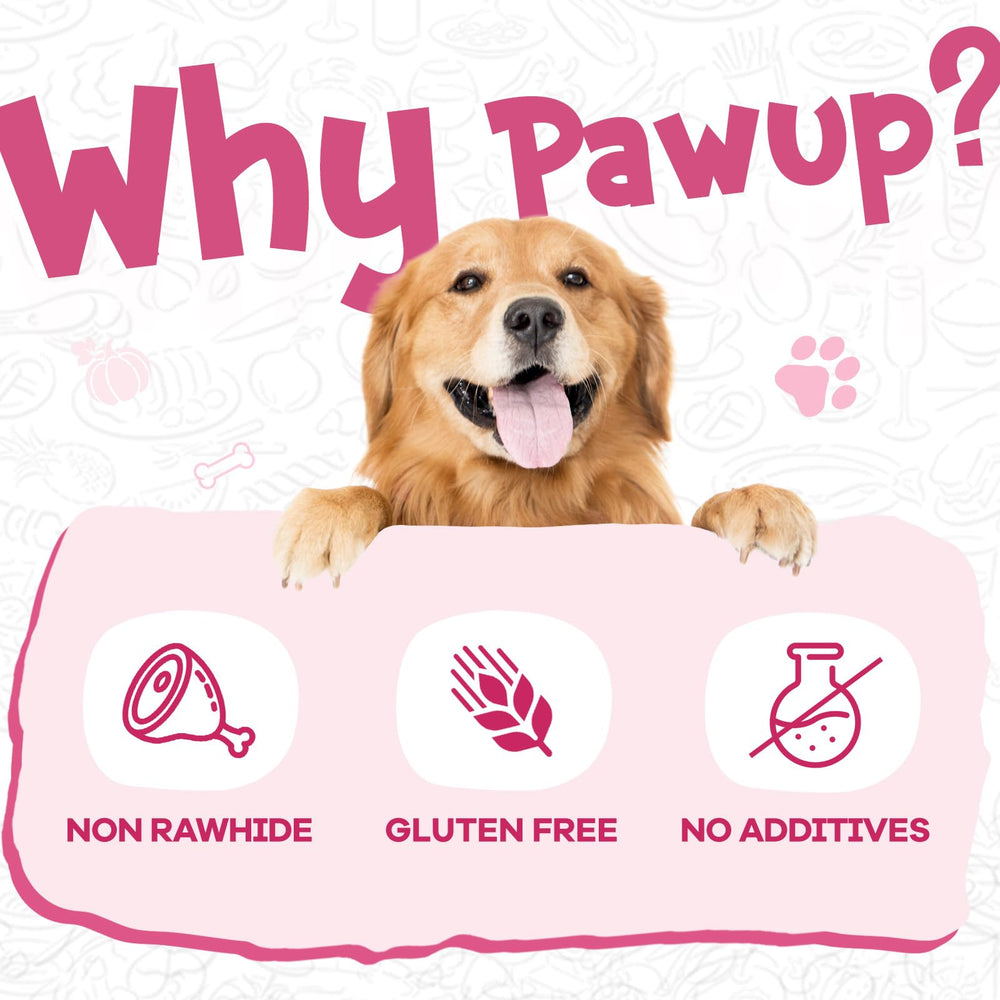 PAWUP snack sin gluten, opción digestible para perros con sensibilidad.