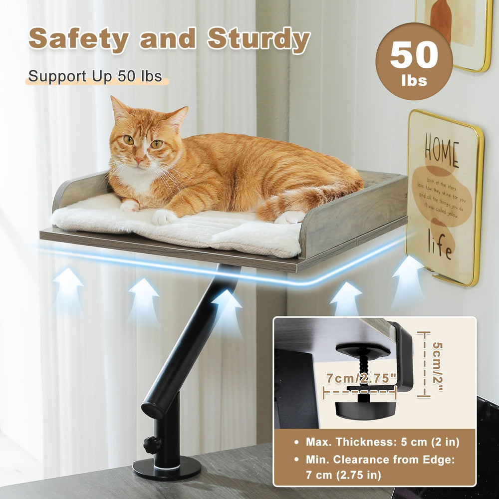 PAWZ Road Cat Desk Bed: capacidad de hasta 50 libras para gatos activos.