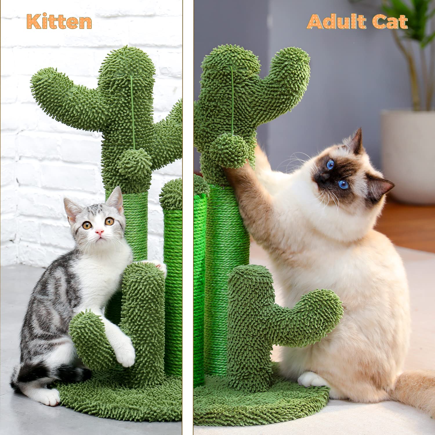 PAWZ Road ensamblaje fácil: montaje rápido sin herramientas.