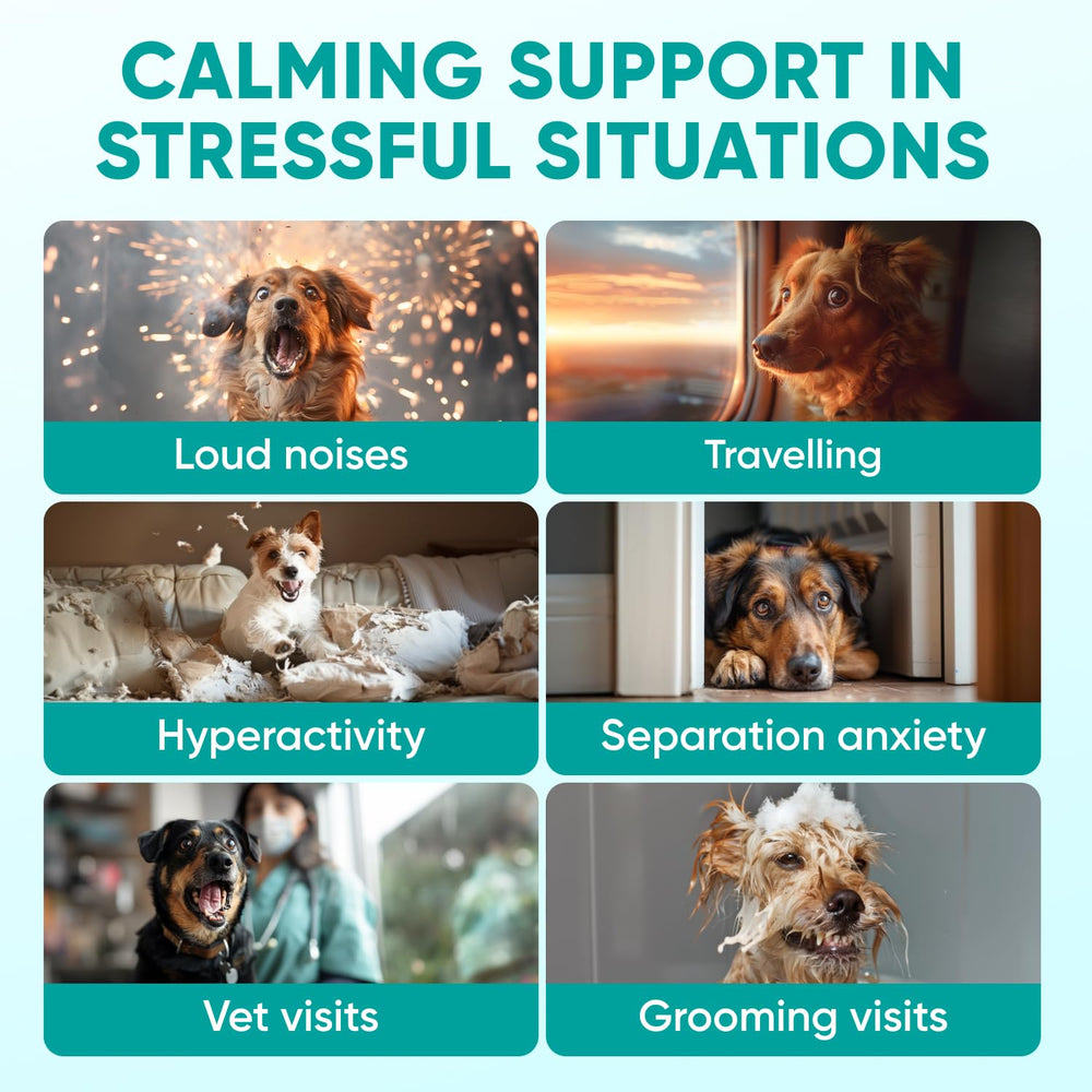 Pawzitive Pets Calming Chews: textura suave para masticar con tranquilidad.