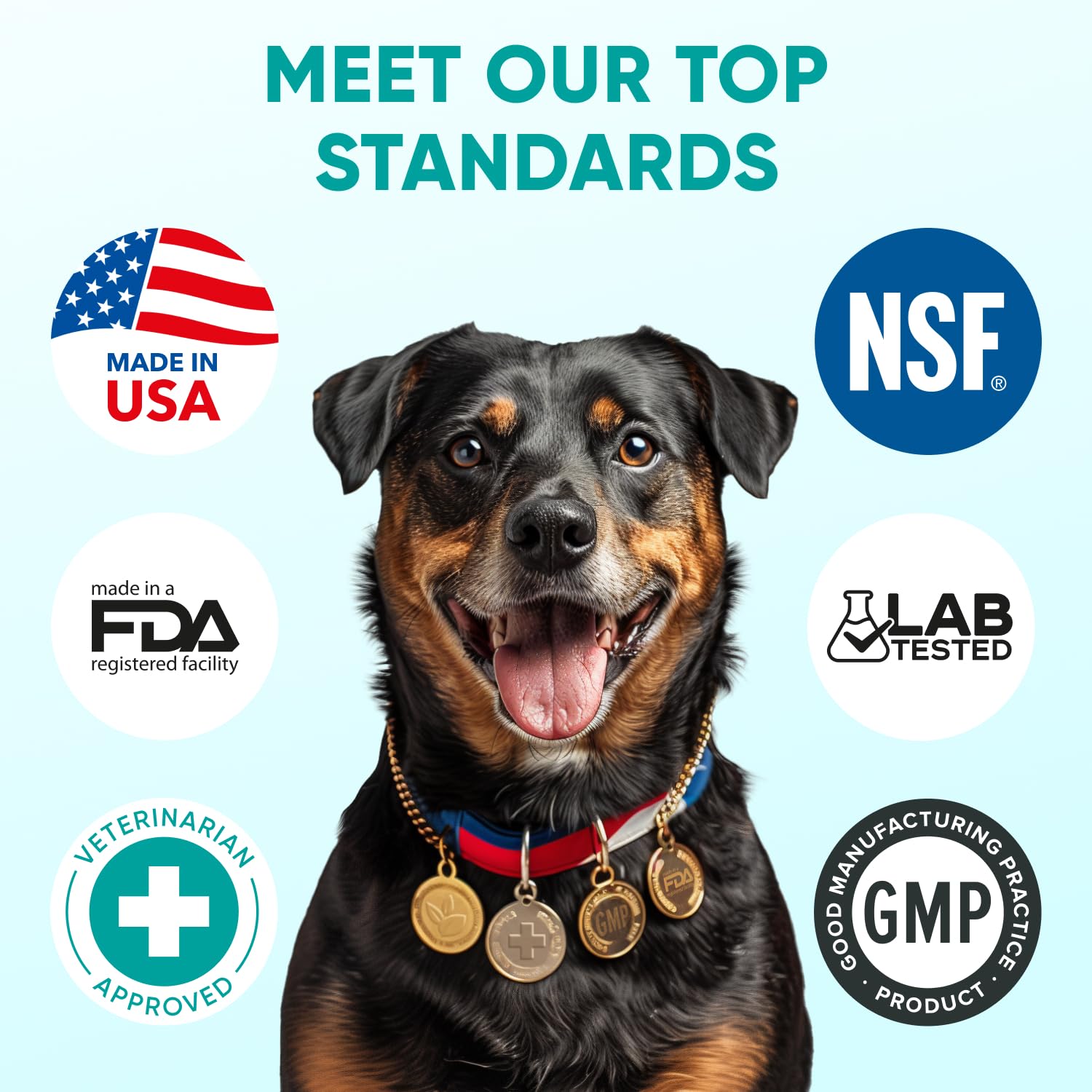 Pawzitive Pets Calming Chews: apoyo suave durante visitas al veterinario.