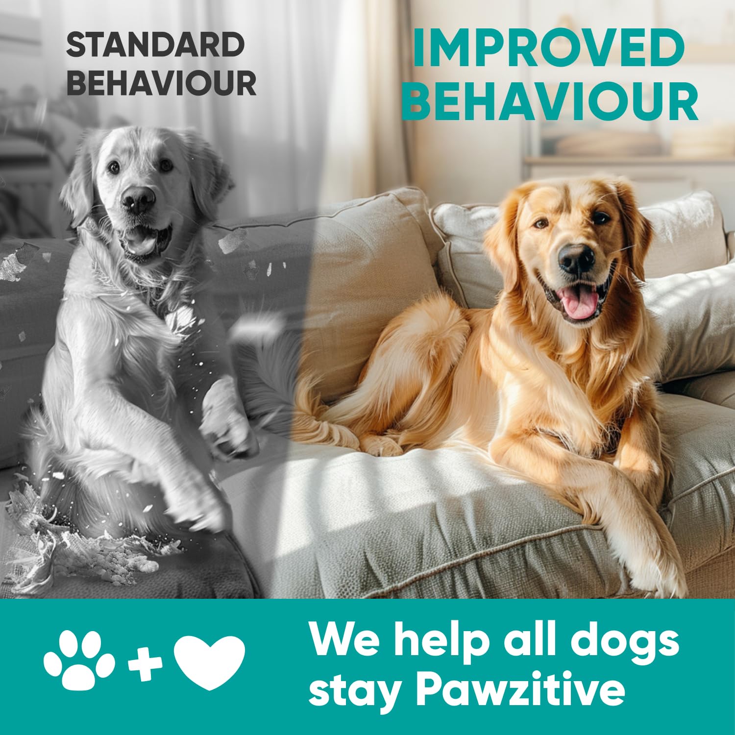 Pawzitive Pets Calming Chews: contiene manzanilla para calma natural.