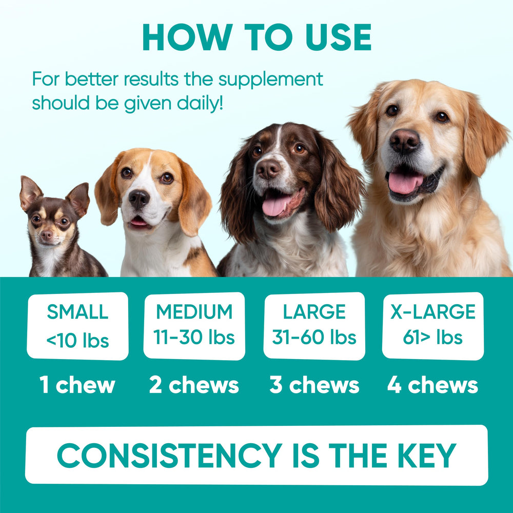 Pawzitive Pets Calming Chews: perro dormido tras una experiencia tranquila.