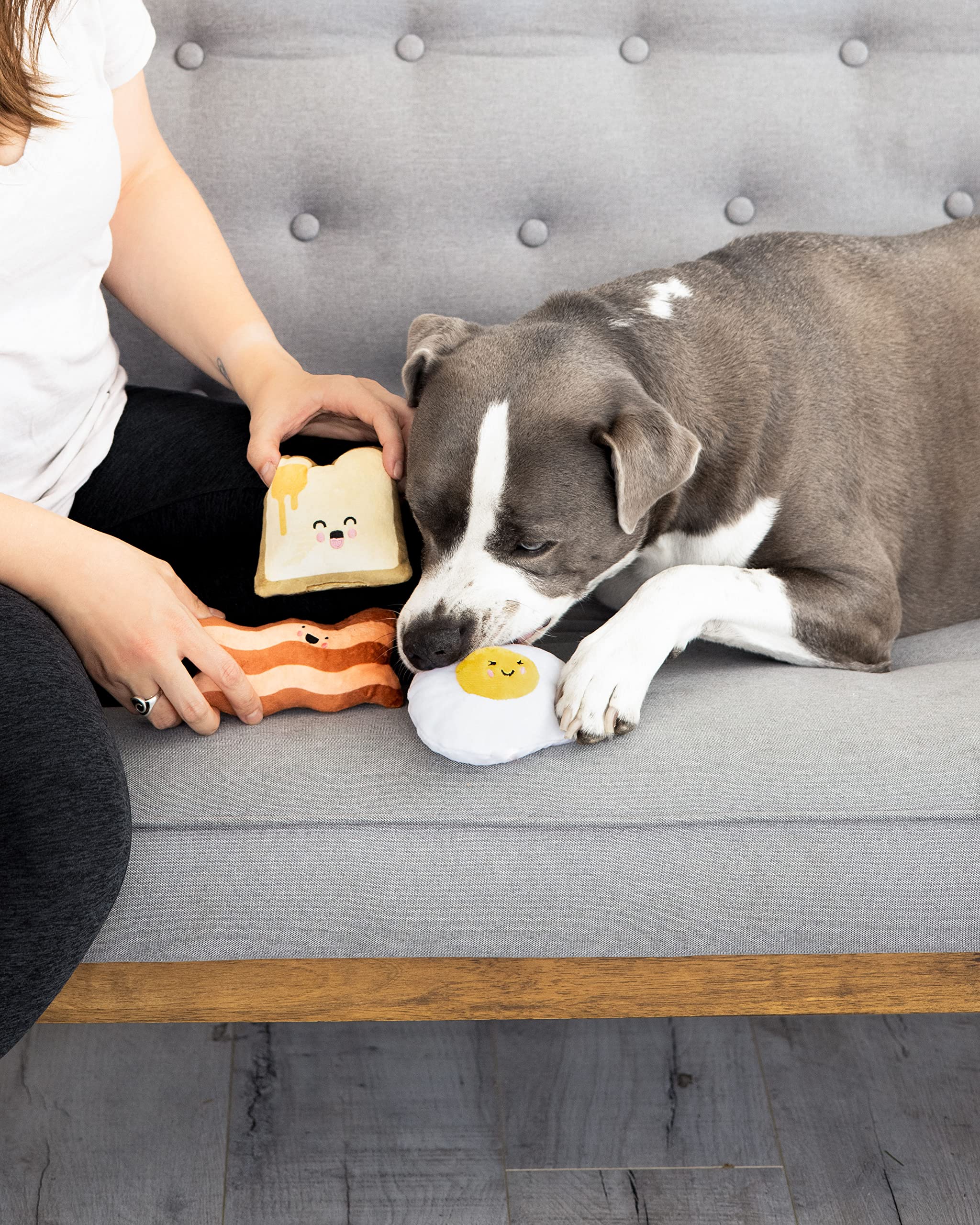 Pearhead Barkfast conjunto desayuno para perros, diversión diaria.