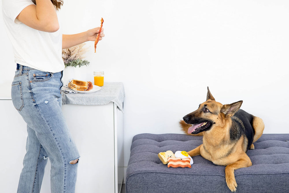 Pearhead Barkfast juguete peluche desayuno para perros.