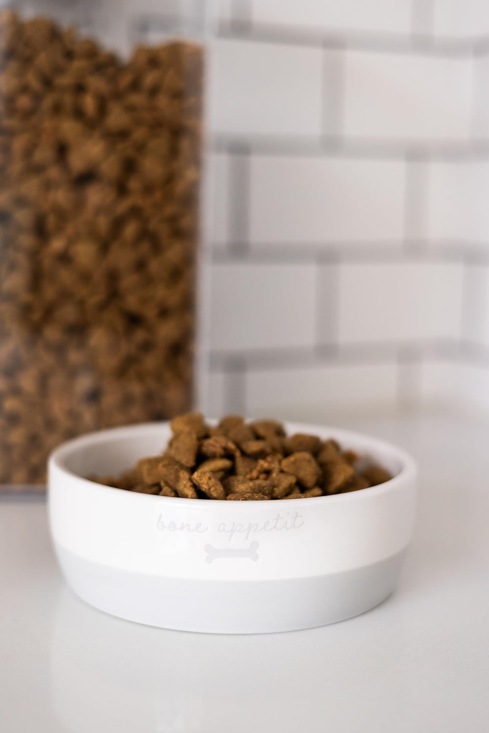 Pearhead capacidad de 18 oz para perros pequeños y medianos
