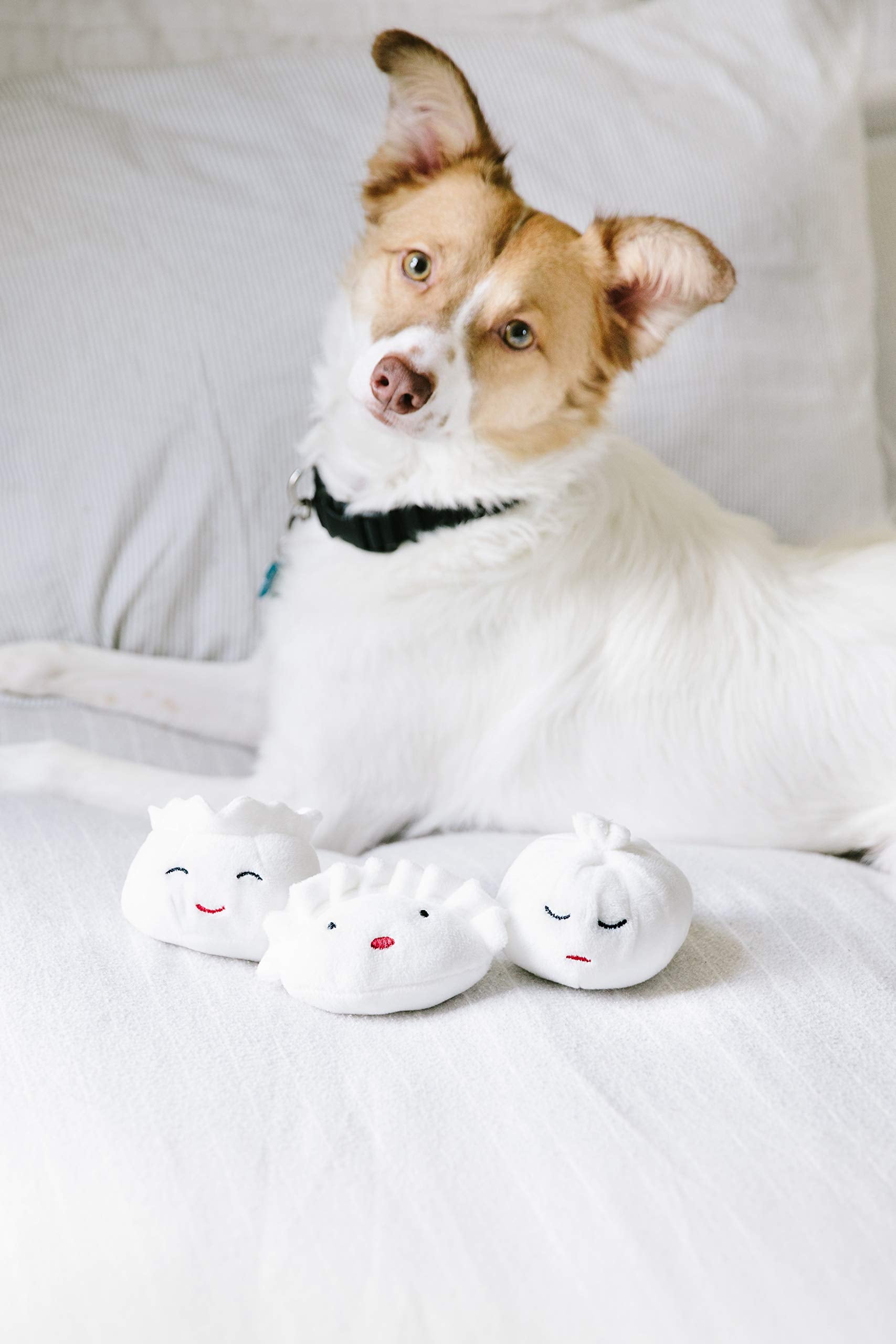 Pearhead Dim Sum: juguete para fotos de mascotas, para publicaciones divertidas.