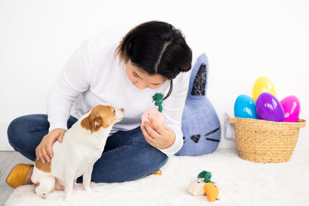 Pearhead Pack de 3 juguetes de verduras para perros, con sonajero.