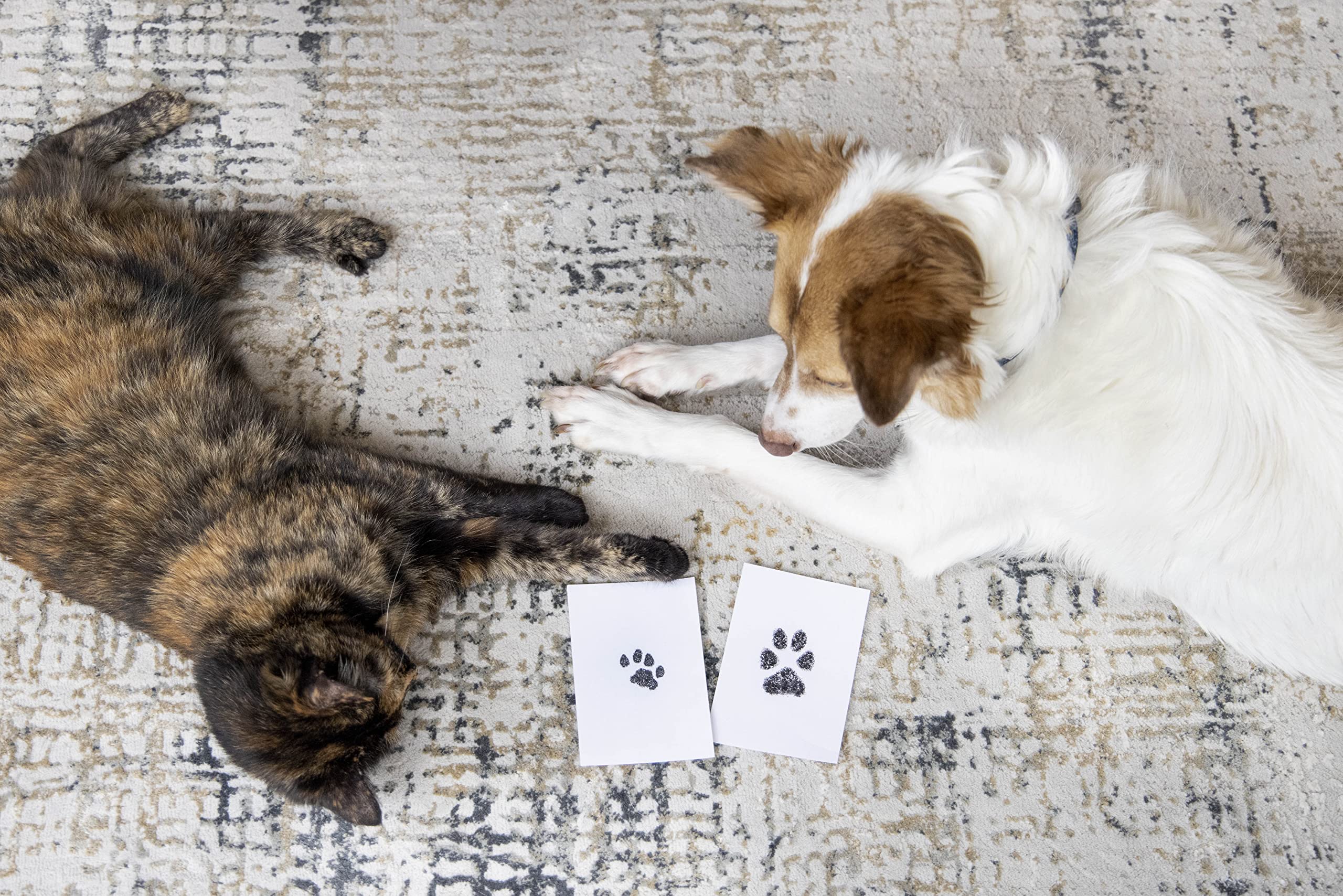 Pearhead patitas-pequenas, tamaño ideal para perros y gatos pequeños.