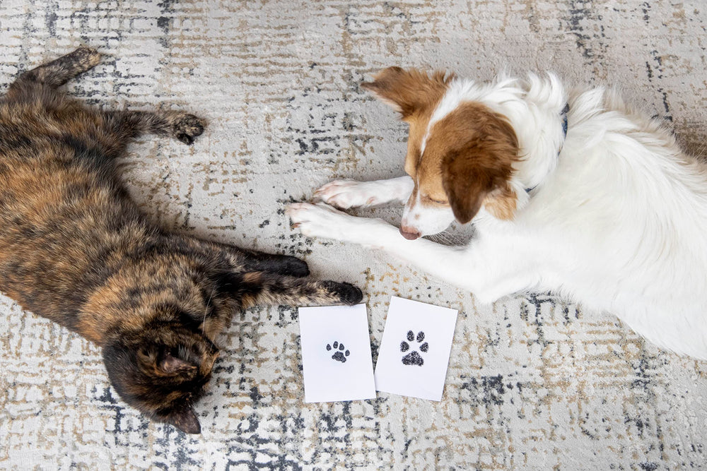 Pearhead patitas-pequenas, tamaño ideal para perros y gatos pequeños.