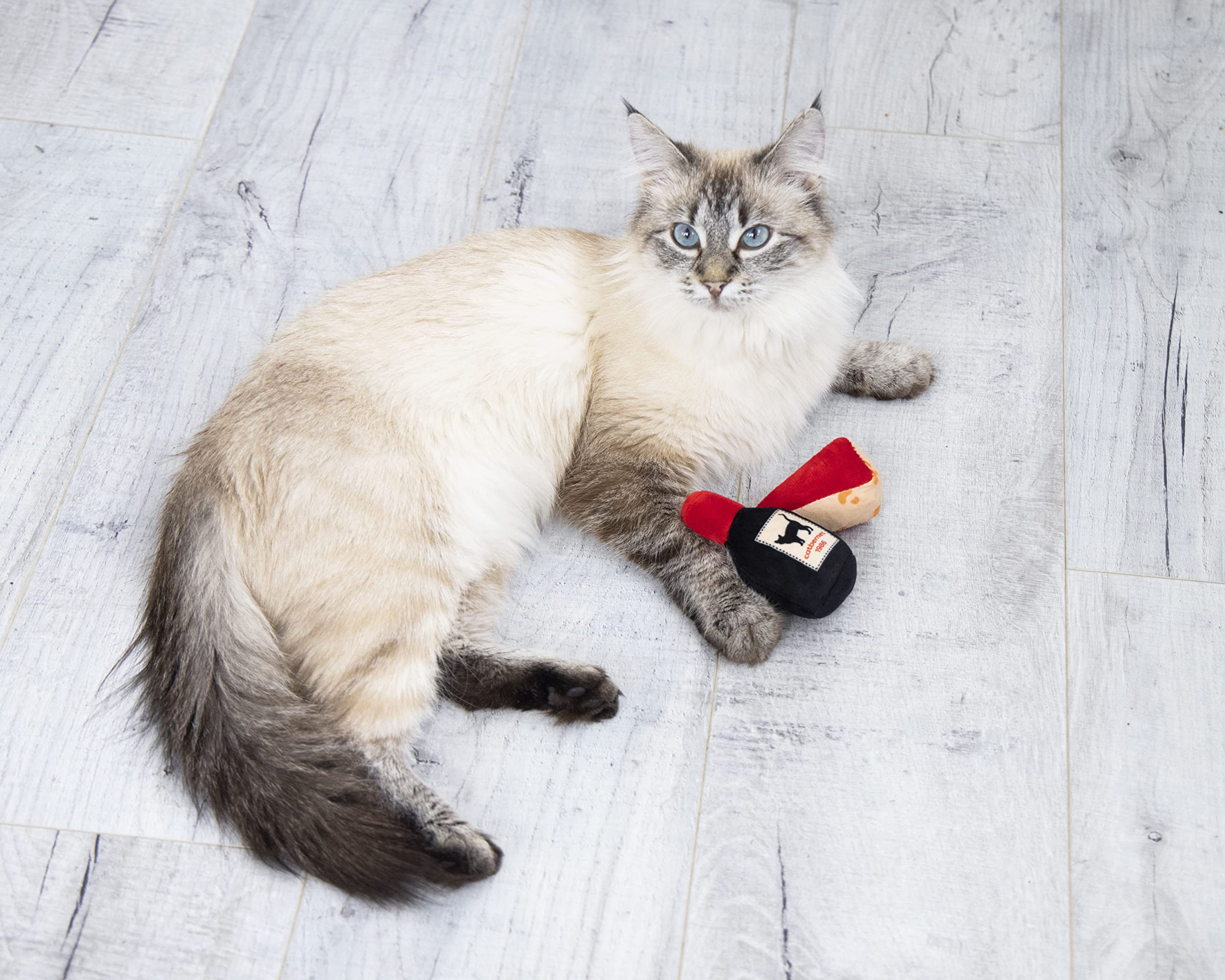 Pearhead regalo ideal para amantes de gatos: accesorio festivo y lindo para fotos.