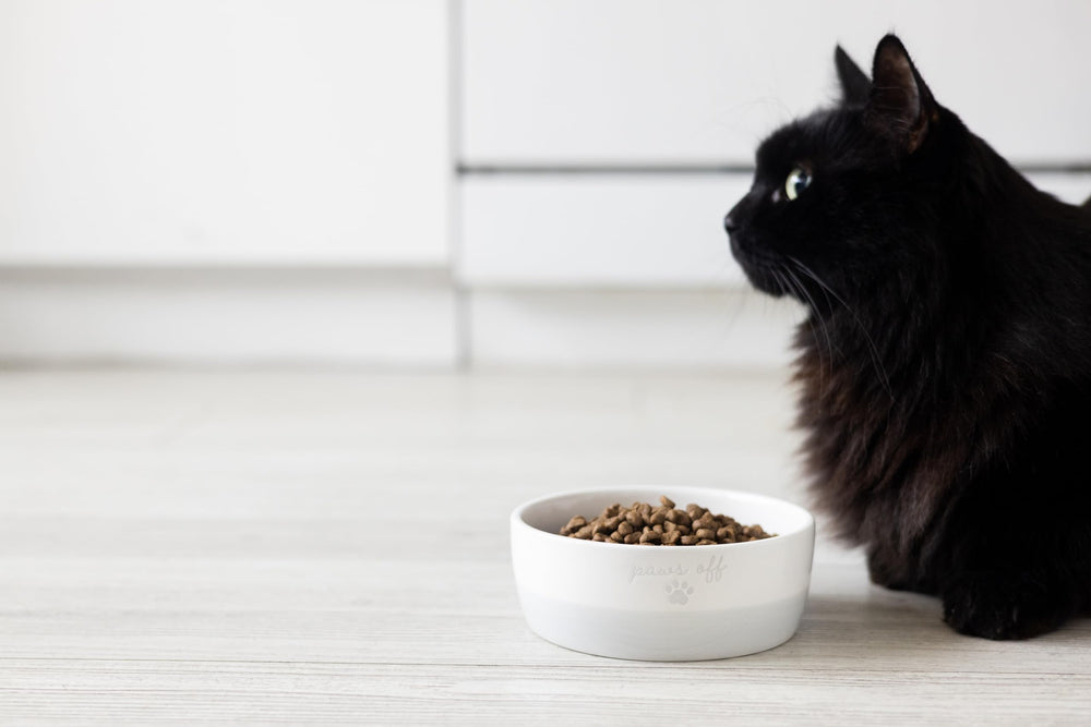 Capacidad de 12 oz para comida, croquetas o agua del gato