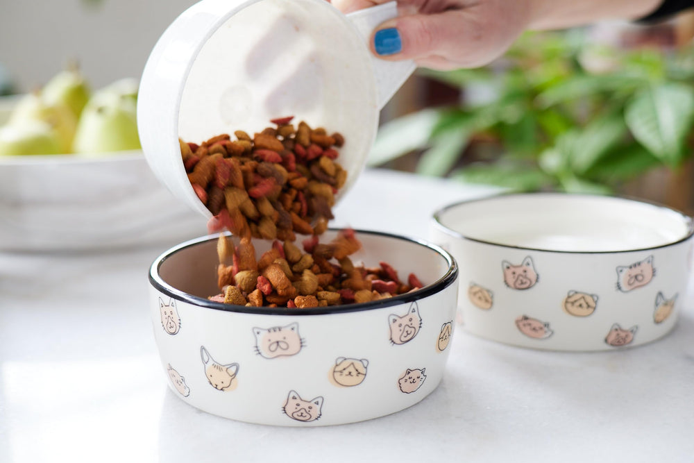 Pearhead tazón apto para alimentos húmedos y secos, versátil para gatos.