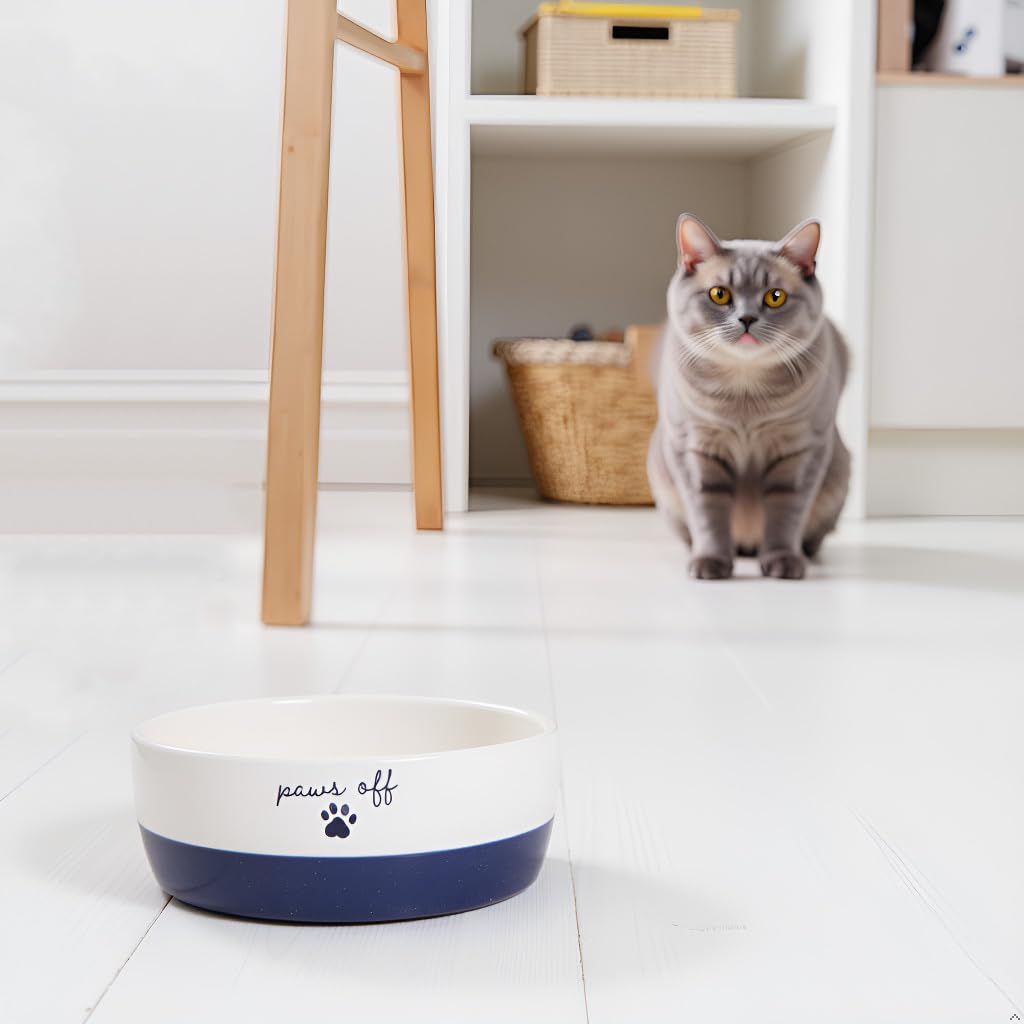 Pearhead tazón para gatos, tamaño adecuado y forma amplia para posturas naturales.