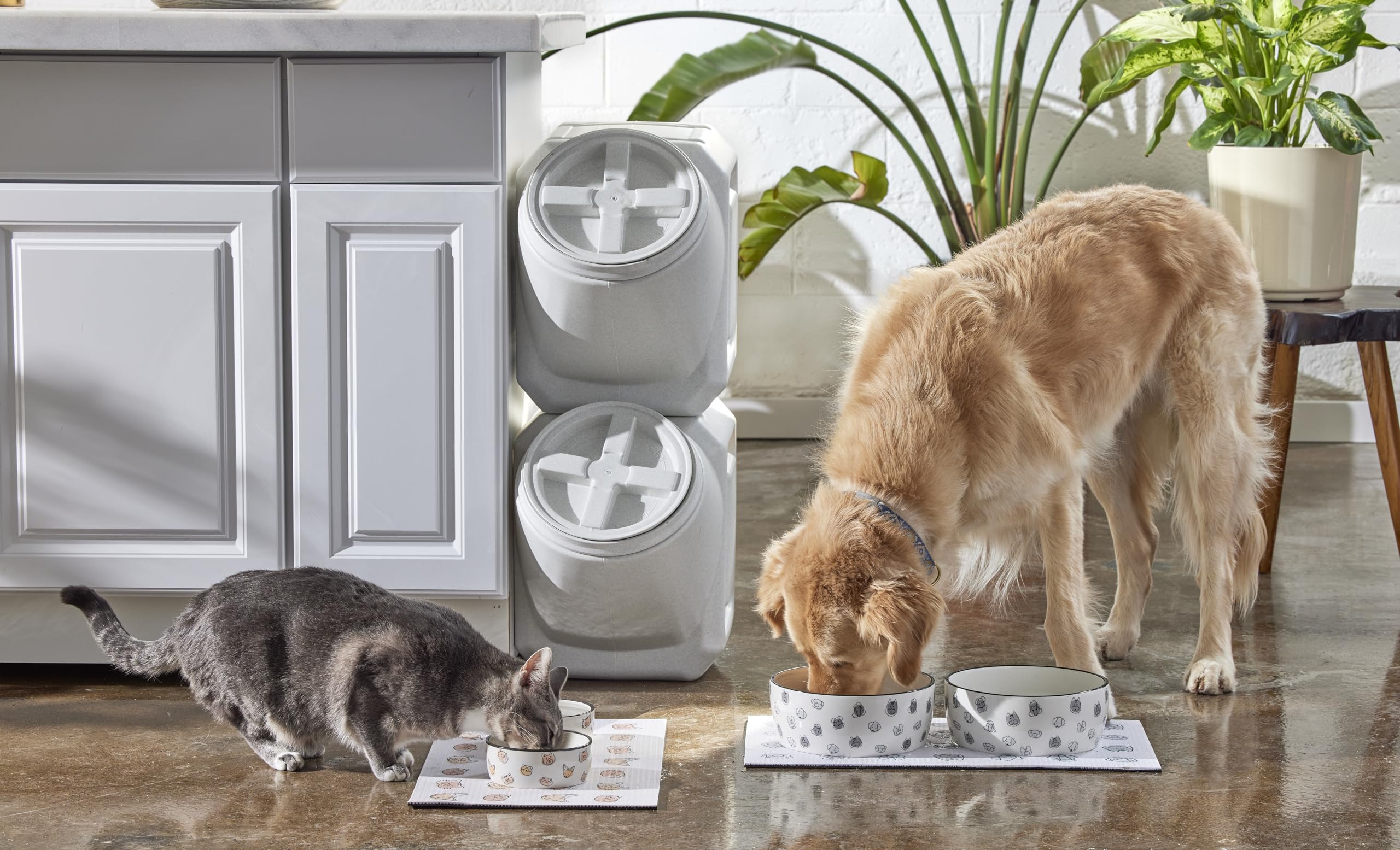 Pearhead regalo ideal para dueños de gatos o nuevos hogares.
