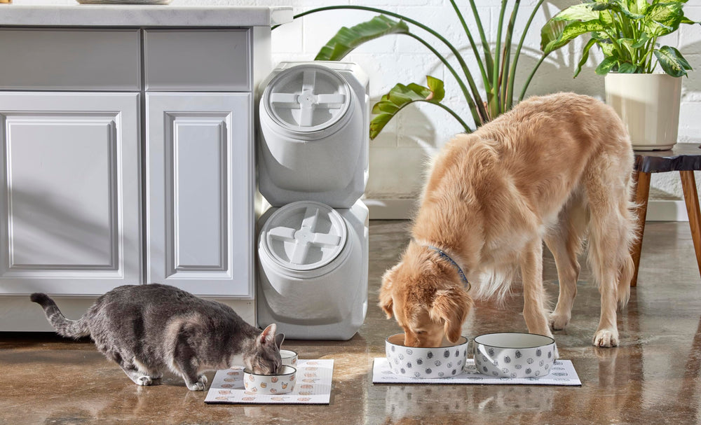 Pearhead regalo ideal para dueños de gatos o nuevos hogares.