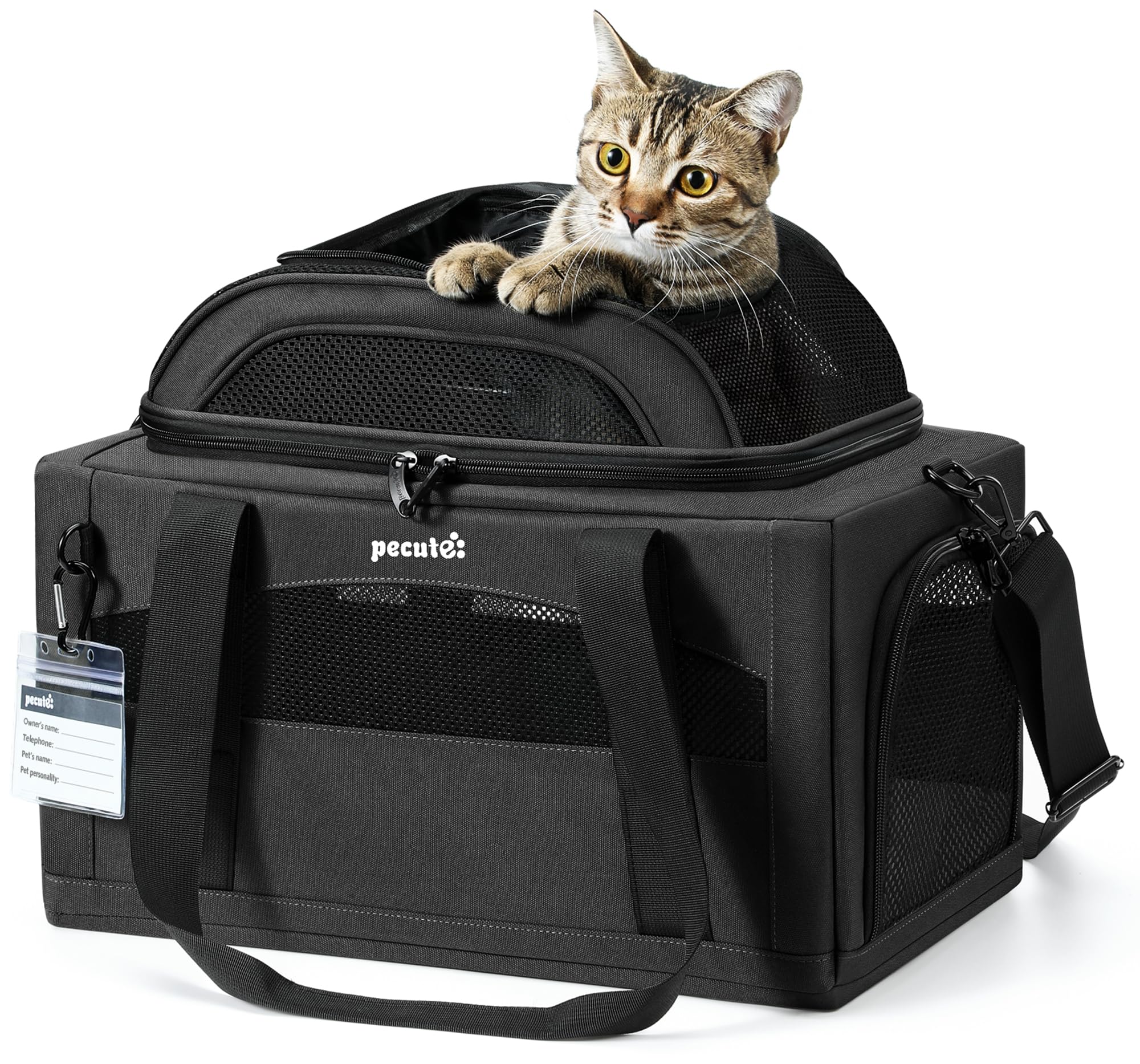 Pecute Expandable Carrier: vista frontal para revisión rápida de tu mascota