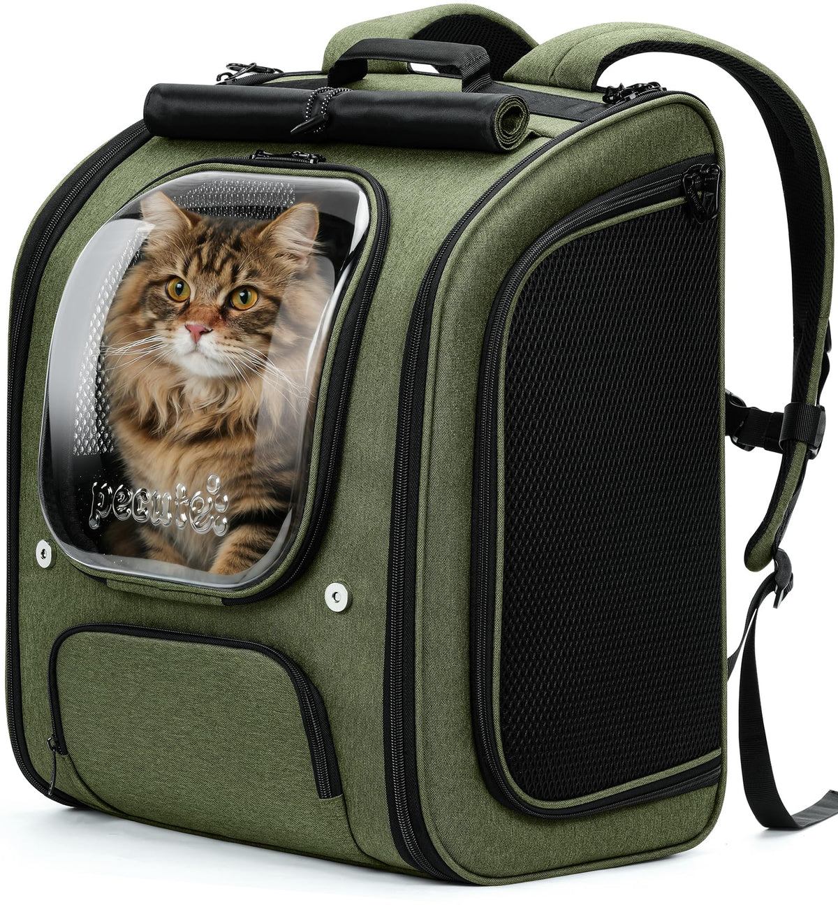 Pecute Mochila gato, burbuja amplia para viajes seguros