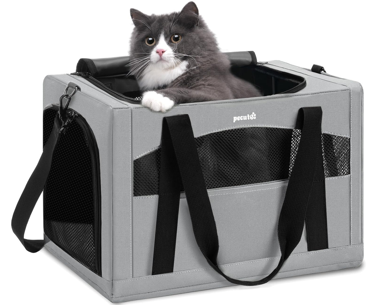 Portador de gatos Pecute con estructura de acero para viajes seguros