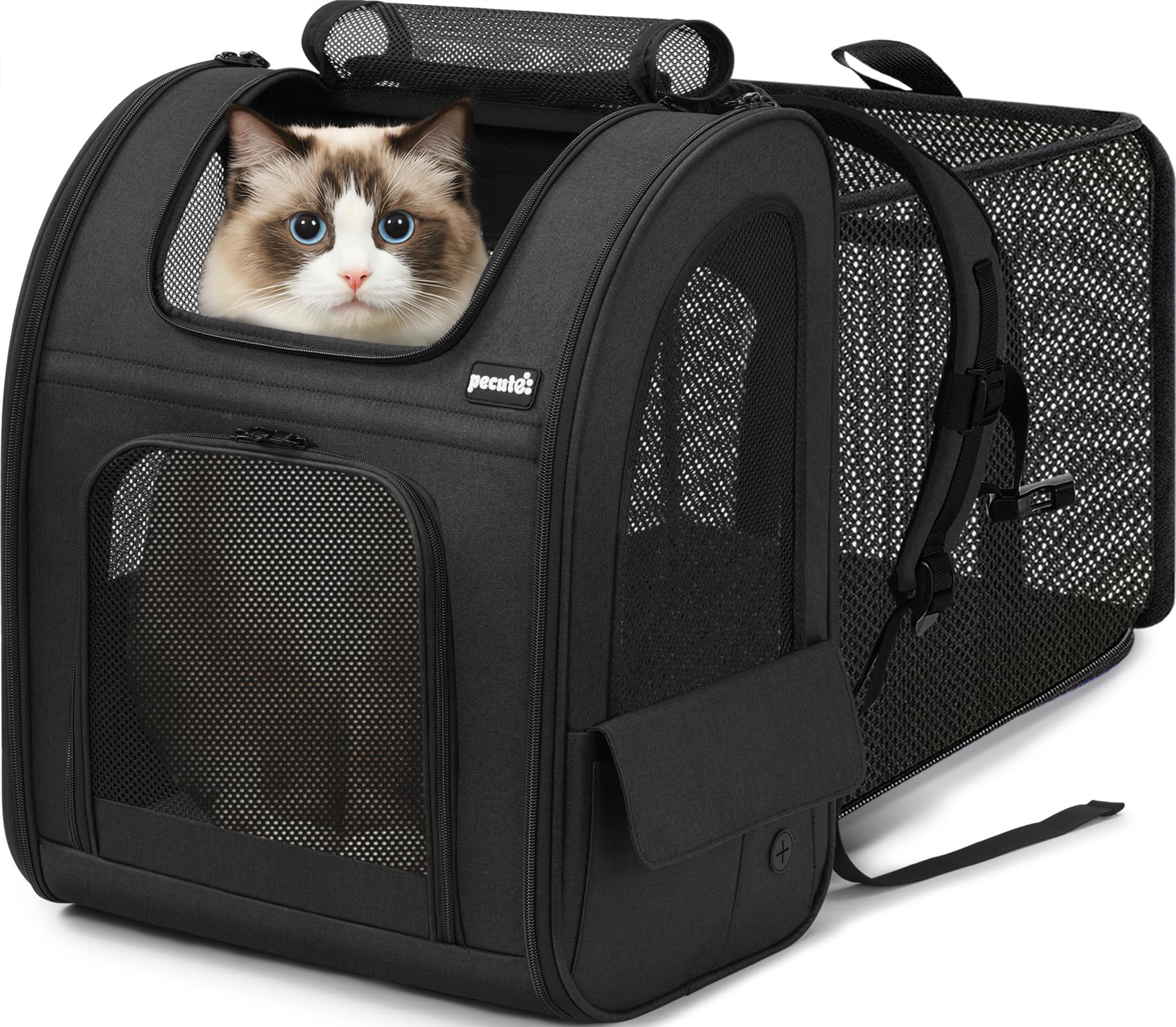 Pecute Mochila gato expandible trasero para viajes cómodos.