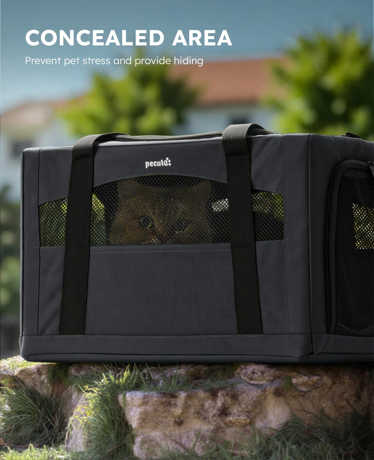 Pecute porta-gato para viaje en coche con base estable