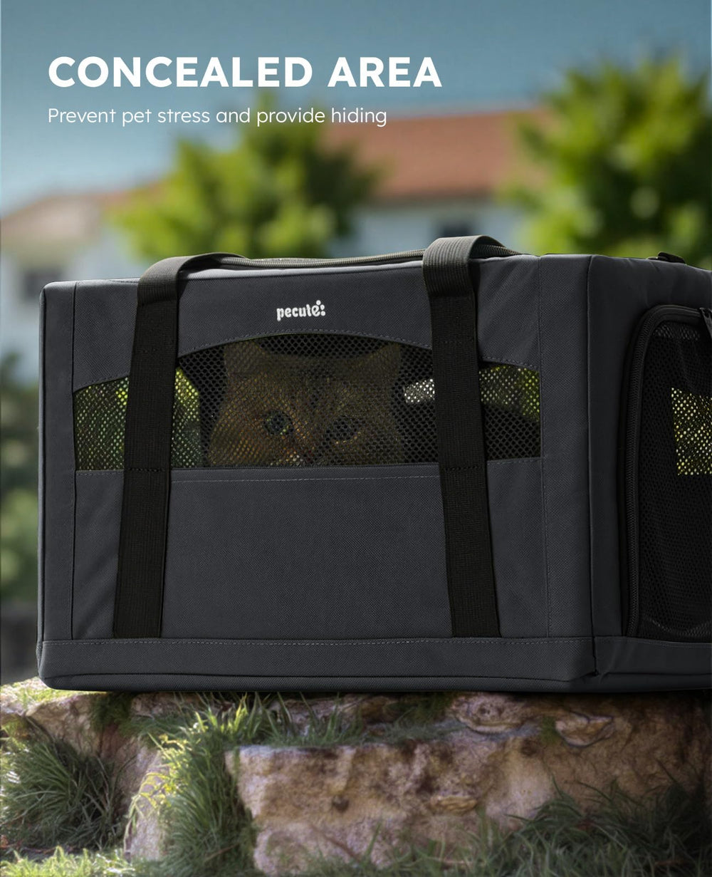 Pecute transportín con malla transpirable para buena circulación de aire.