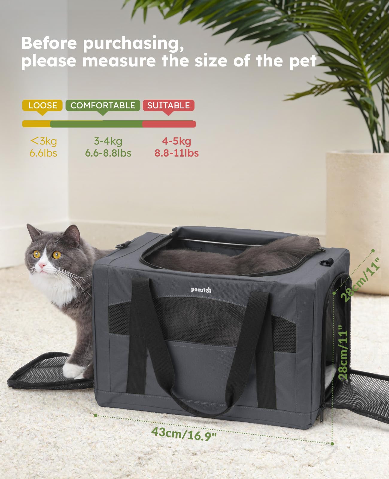Pecute transportín ideal para viaje en coche, seguro y cómodo para mascotas.