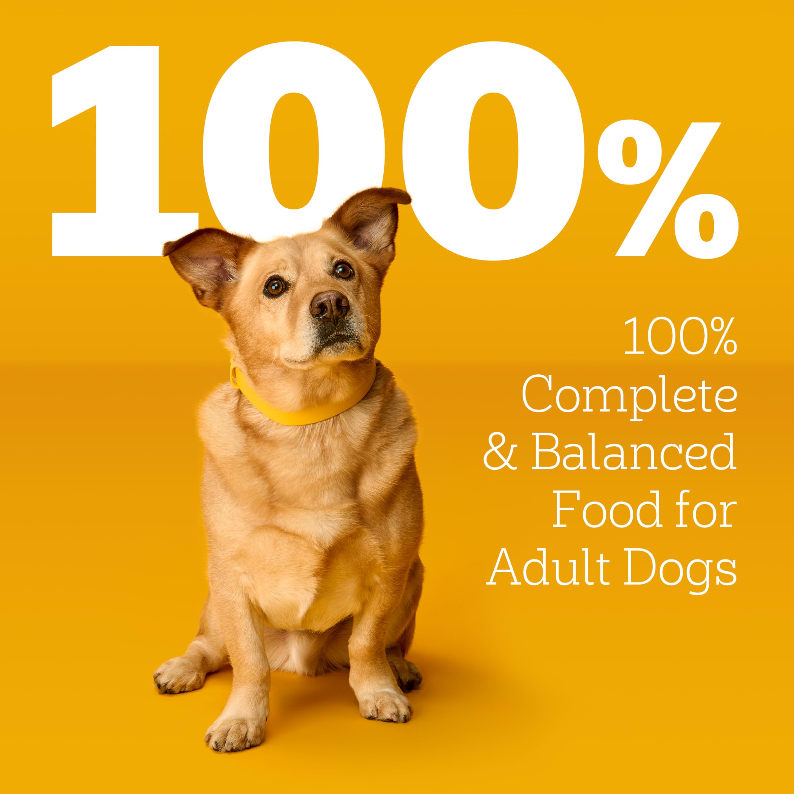Pedigree porción 3-5 oz, servicio rápido y limpio para la cena.