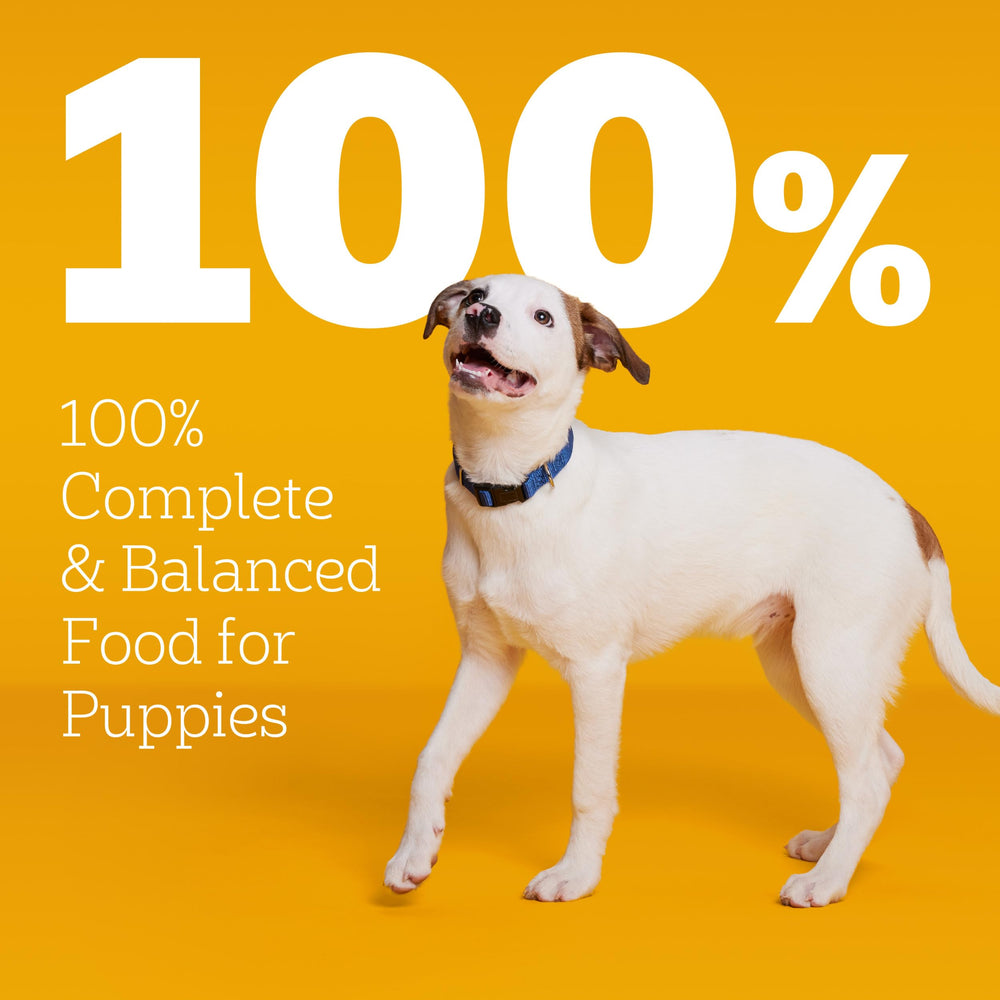 Pedigree croquetas en cuenco para cachorros, ideal para una comida sabrosa.
