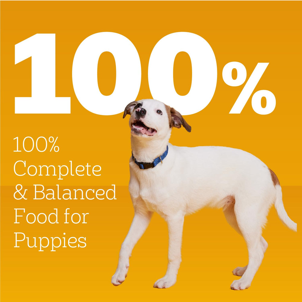 Pedigree cachorros lata 13oz con DHA para desarrollo cerebral.
