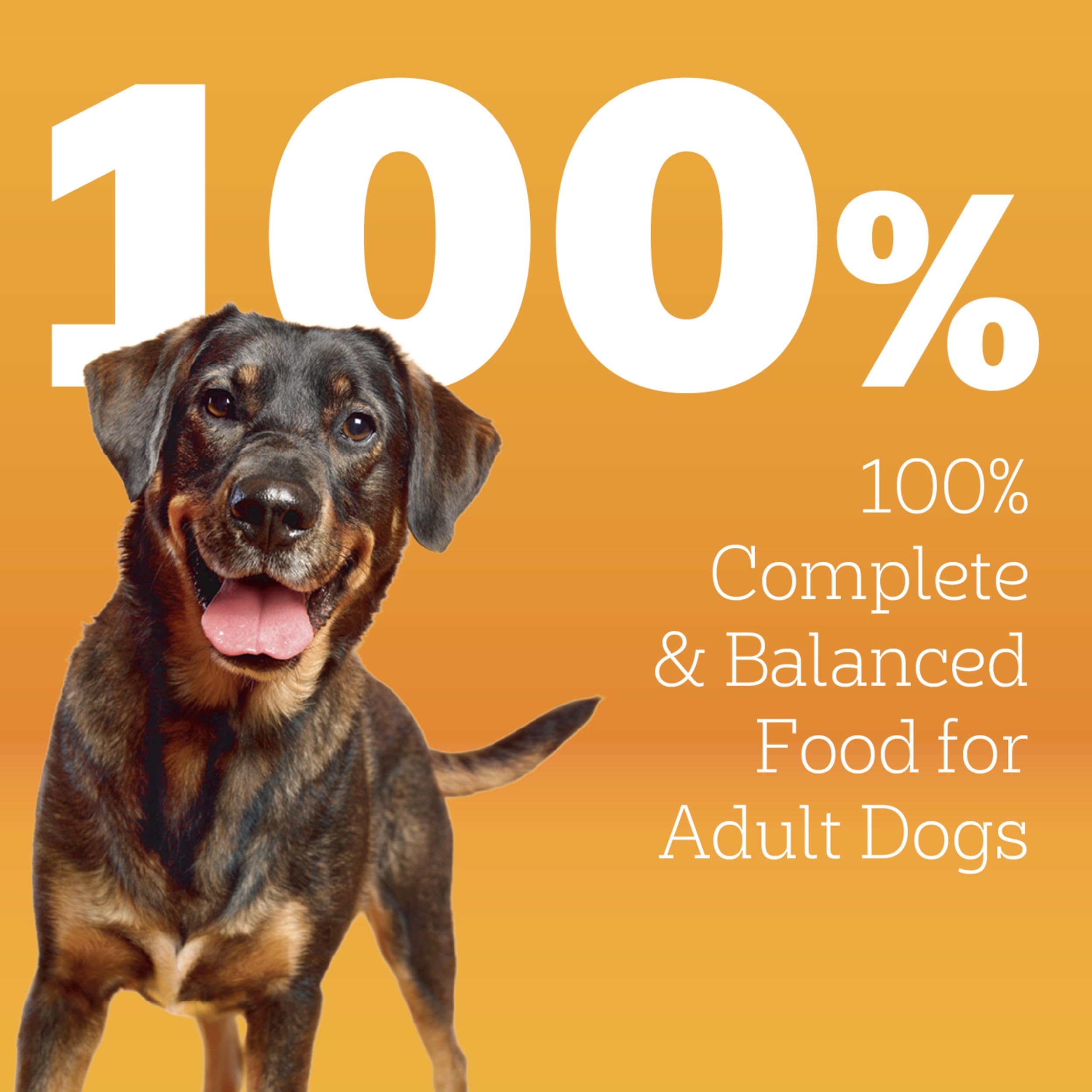 Pedigree carne-real en croquetas para perros activos y felices.