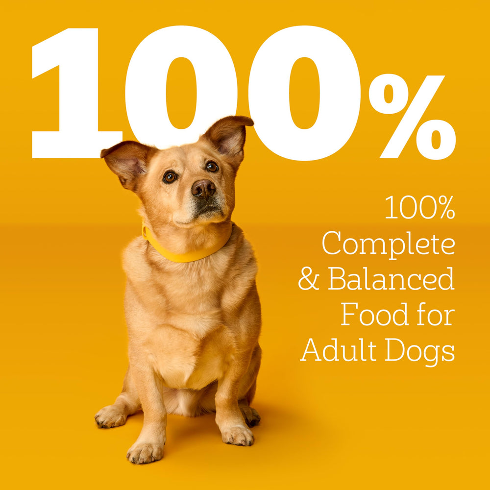 Pedigree Choice Cuts en Gravy, plato-servir, salsa sabrosa para cada comida.