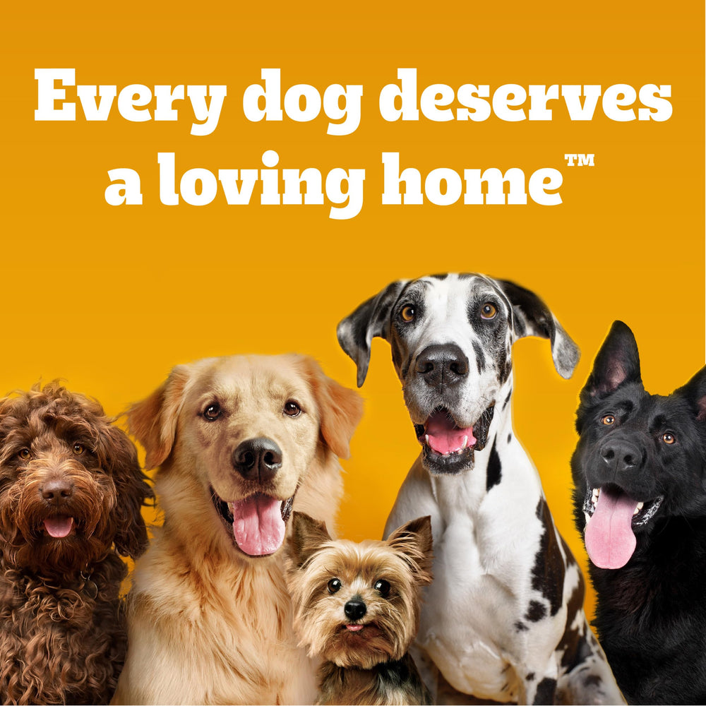 Pedigree Drizzlers complemento sabroso para perros exigentes sin cambiar la textura de croquetas.