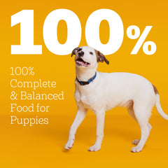 Pedigree Puppy Dry Food cachorro plato servido con comida atractiva