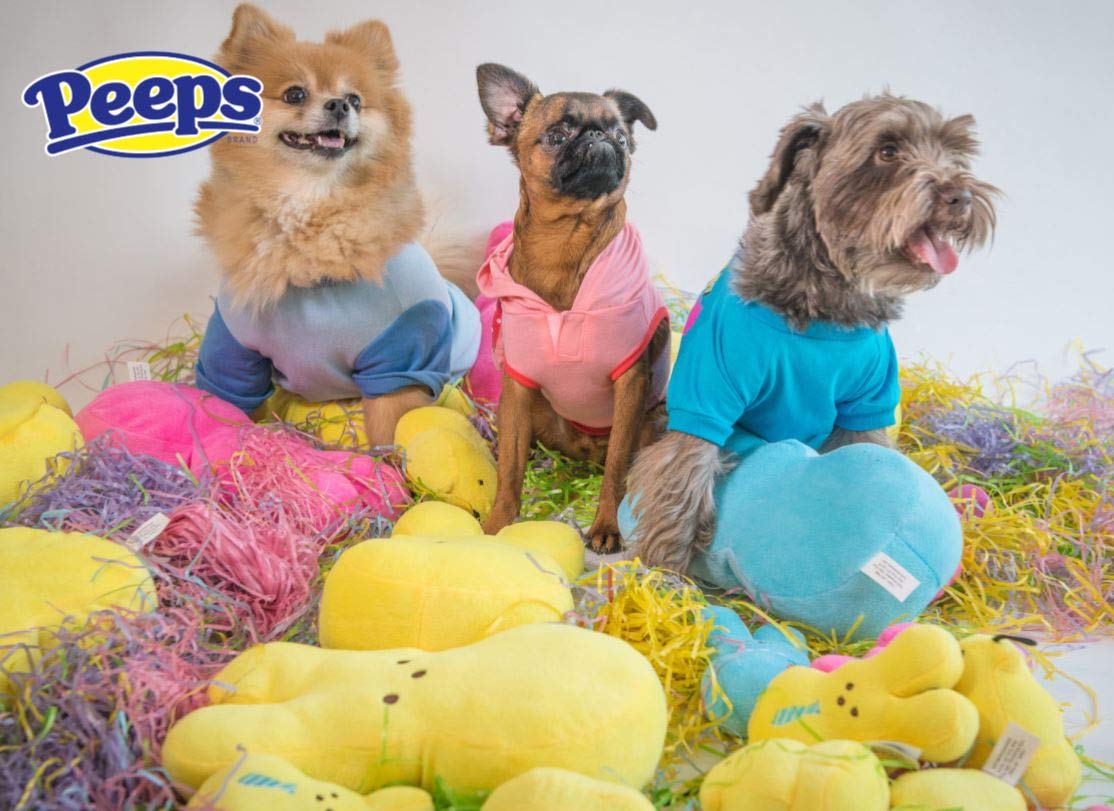 Peeps conejo peluche rosa chirrido, ideal para morder y acurrucarse.