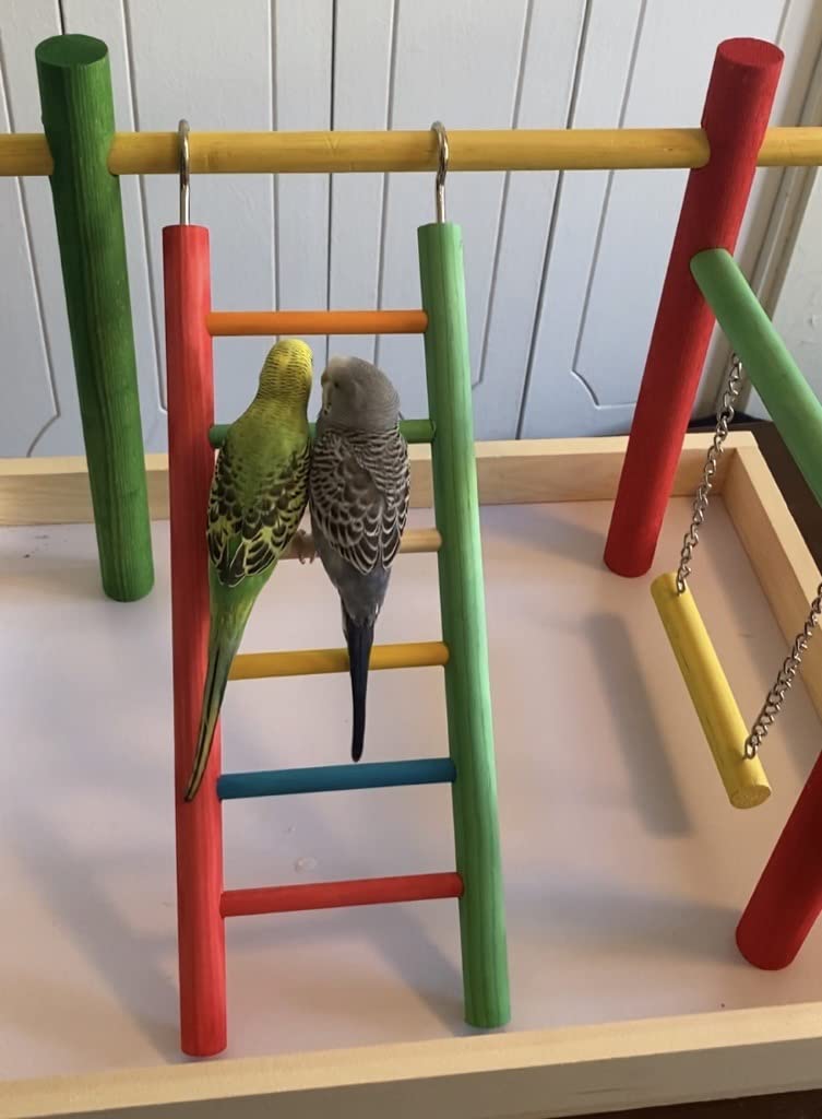 Penn-Plax Bird Life Playpen diseño de madera natural para ambiente tranquilo.