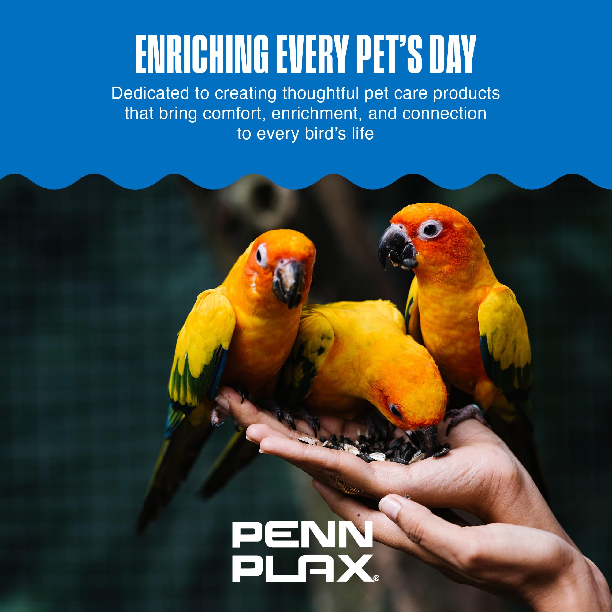 Penn-Plax Bird-Life e Cuttlebone para aves de distintos tamaños, clip incluido.