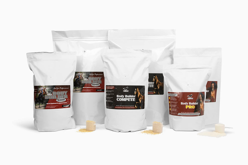 Pennwoods Body Builder Compete, apoyo a la topline de caballos de alto rendimiento.